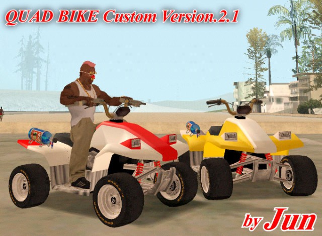 Quad Bike Custom