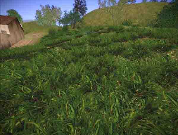 Sniper Ghost Warrior 2 - grass